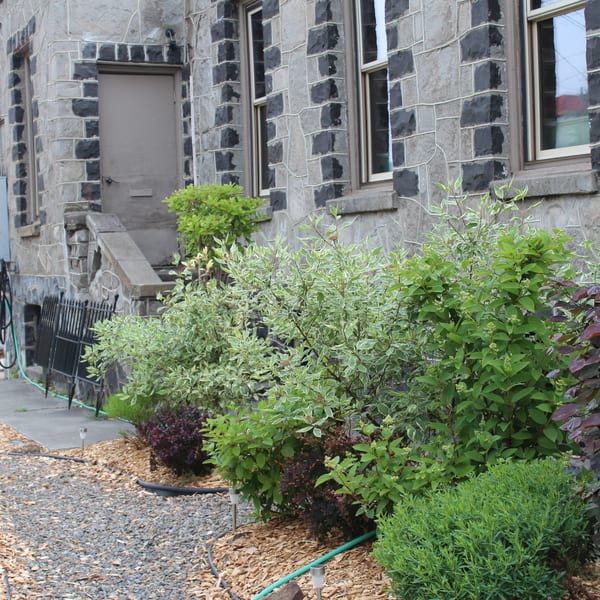 The Riv Cafe's stone building exterior with lush green and variegated bushes along a gravel path.